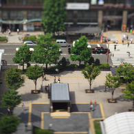 木陰