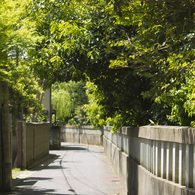 路地１