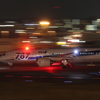 ANA B787-8