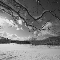 雪原の晴れ間