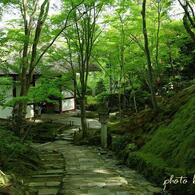 新緑の常寂光寺