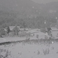 しんしんしん雪は降る降る