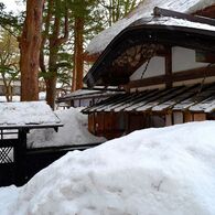 Coexistence with the snow