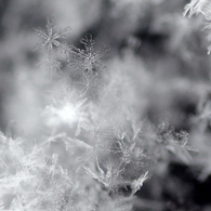 雪の結晶④