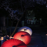 灯りの祭典　#1