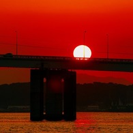 夕陽に照らされて