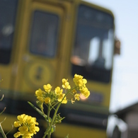 列車の風を受けて