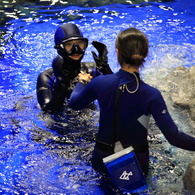 水族館の女神