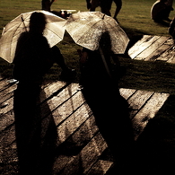 Two umbrellas