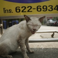 Bangkok