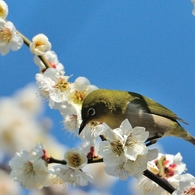 3月6日