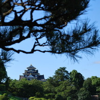 後楽園から望む岡山城