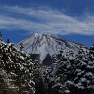 富士三昧81　再び西臼塚からの富士山と樹氷