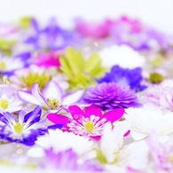 花の船