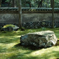 IMG_3450
