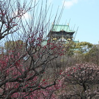 梅と城