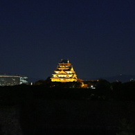 橙灯