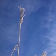 DSC01939
