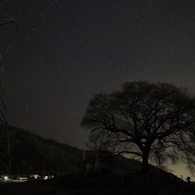 わに塚の桜の木と星空