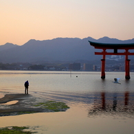 厳島神社と旅人と鳥