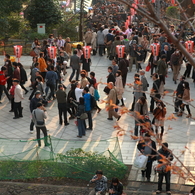 公園をゆく