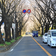 海軍道路_3