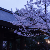 YASUKUNI #2