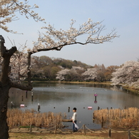 三ッ池公園