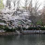 三ッ池公園