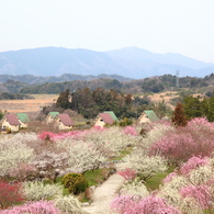 メルヘンチックな風景②