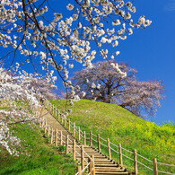 さきたま古墳公園