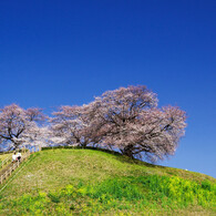 さきたま古墳公園