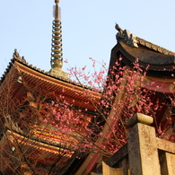 清水寺、三重塔