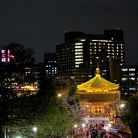 春爛漫♪ in TOKYO Ⅲ　不忍池弁天堂