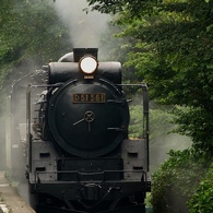 川場のＤ５１　２００８年８月