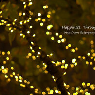 illumination2012winter_3