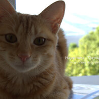 KtheL2012_4