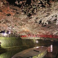 奥の細道　むすびの地