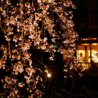 祇園の春夜
