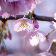 20130319_112743
