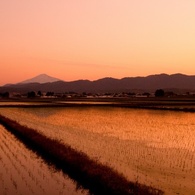 たそがれる田園風景