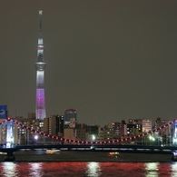スカイツリーと清洲橋