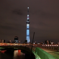 スカイツリーと桜橋