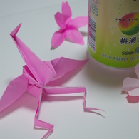 ほろ酔い
