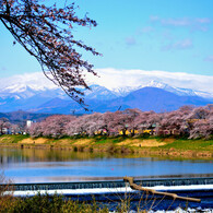 一目千本桜　蔵王連峰2