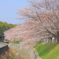 春の予感