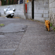 nakano-today 3