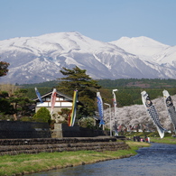 洗沢川春景
