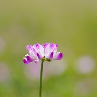 IMGP6446