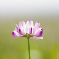 IMGP6455
